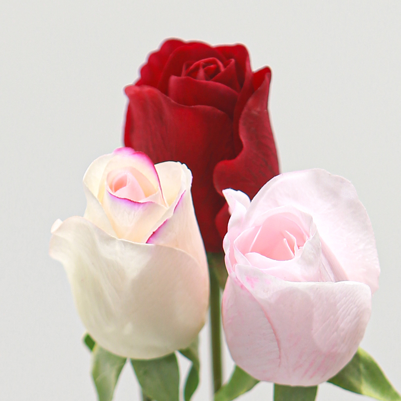 Real Touch Moisturizing Artificial Versailles Rose Wholesale