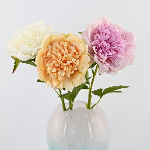Tactile Moisturizing Peony Featured Image
