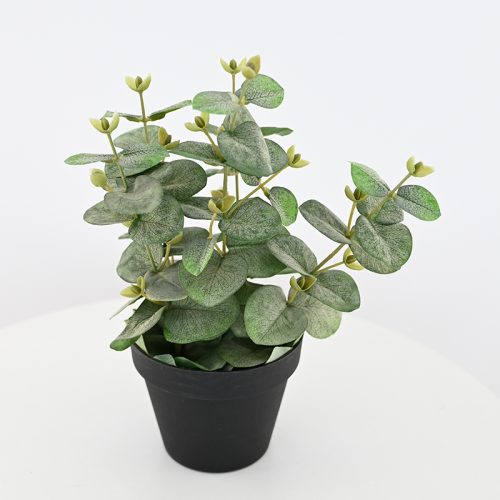 Artificial Pachira Aquatica Potted Plant Featured Image