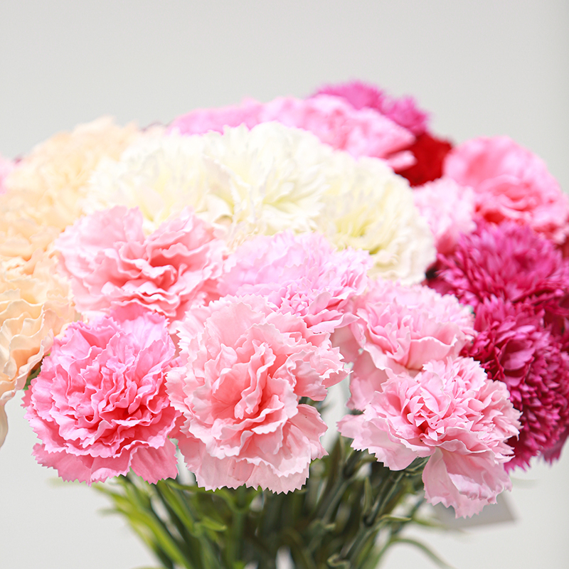 Real-Touch Moisturizing Carnation