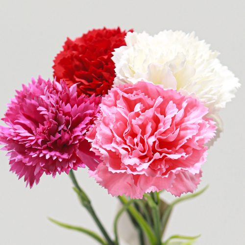 Real-Touch Moisturizing Carnation Featured Image