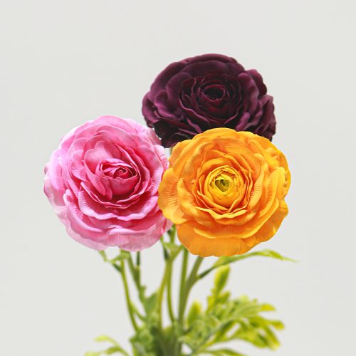 Real Touch Moisturizing Ranunculus Featured Image