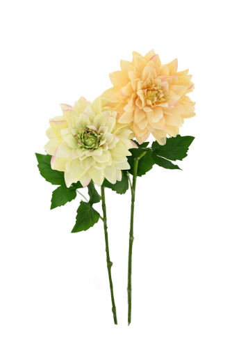 Real Touch Moisturizing Flowers Featured Image