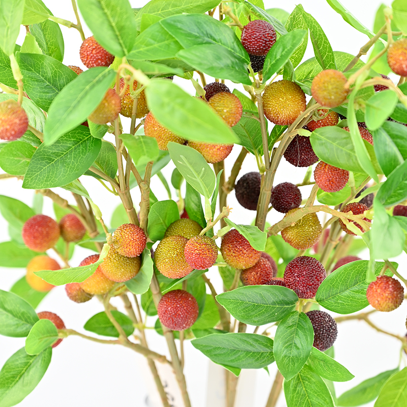 Artificial Bayberry