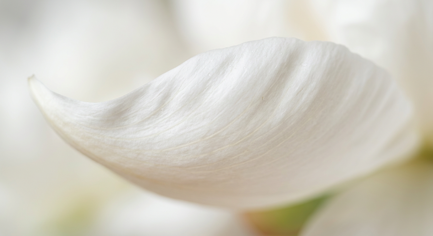 Close-up of real-touch artificial peony petal showing smooth hypoallergenic surface