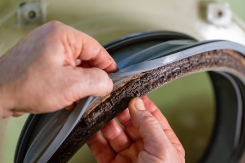 Rubber washer component held during maintenance inspection