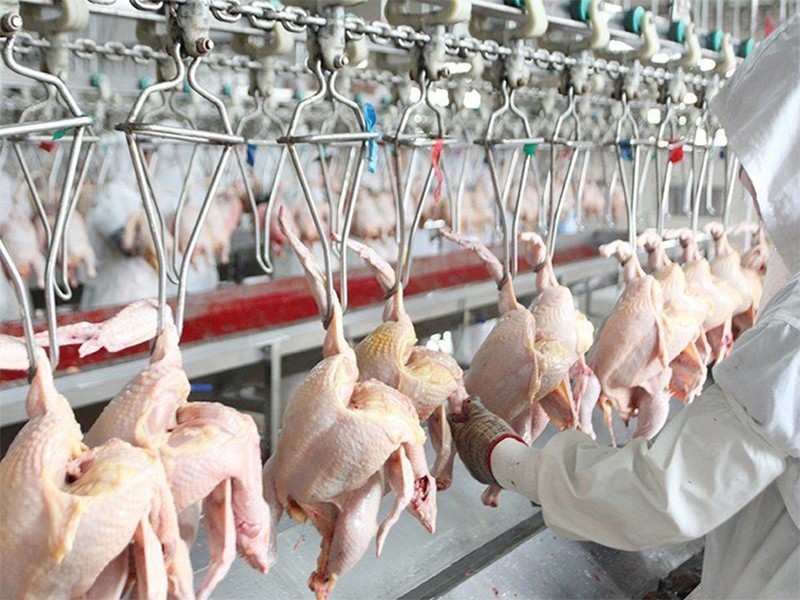 livestock and poultry slaughter waste
