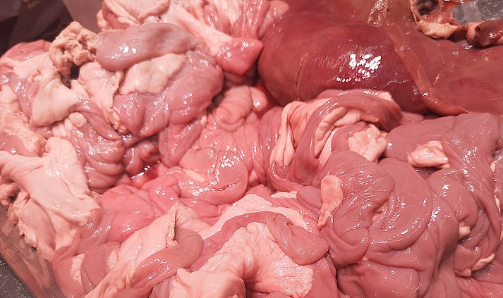 livestock and poultry slaughter waste